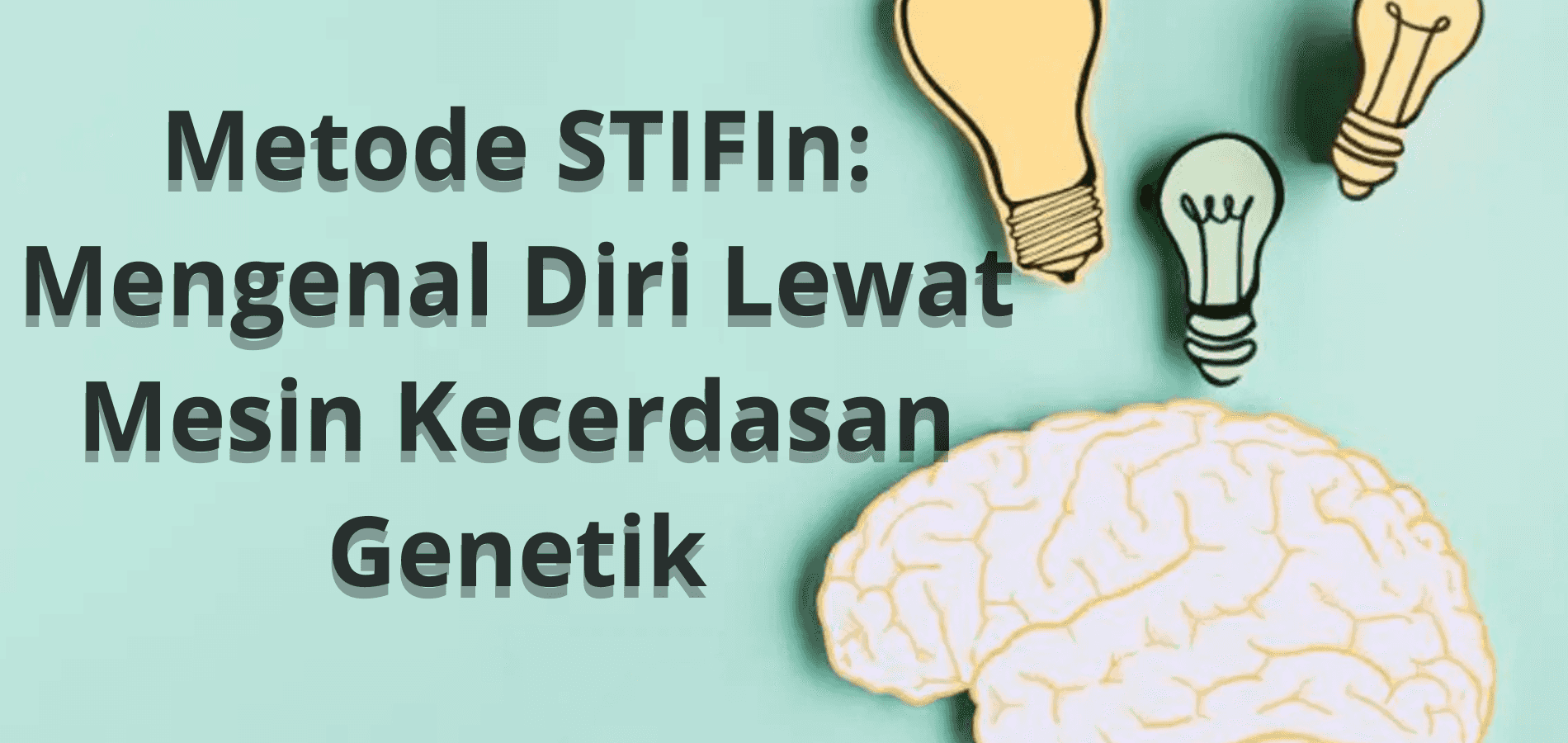 Metode STIFIn