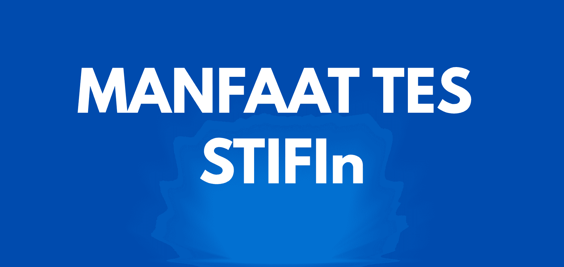 Manfaat Tes STIFIn